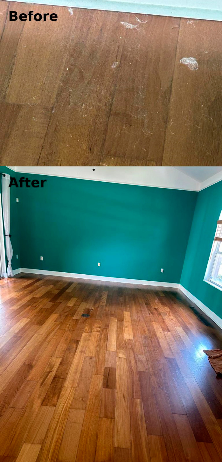 Regular & Deep Cleaning