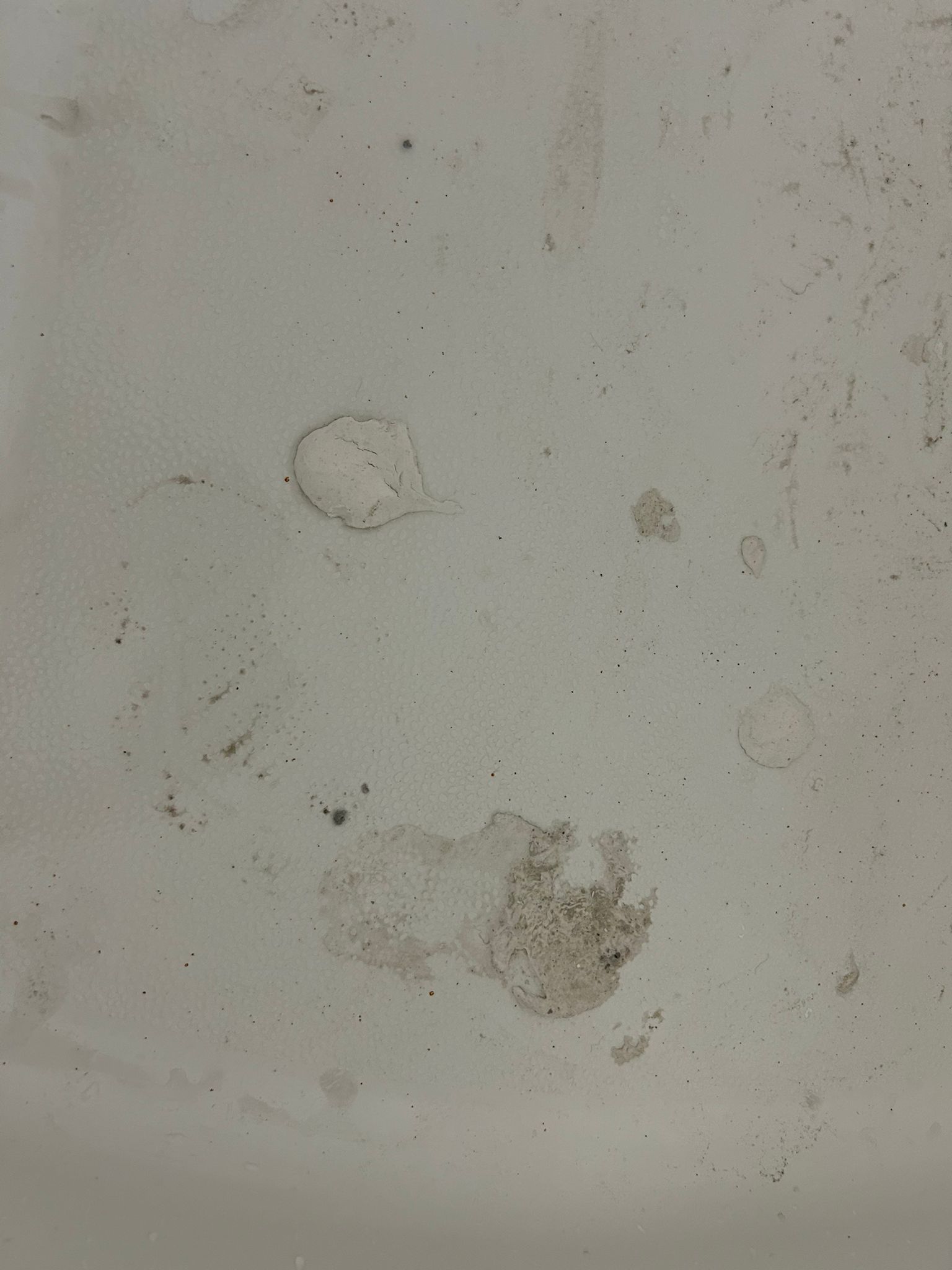 Post-Remodeling Before